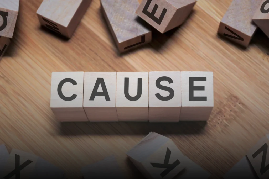 show cause docket custody NC