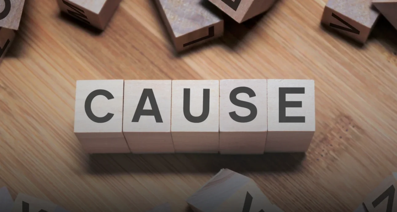 show cause docket custody NC