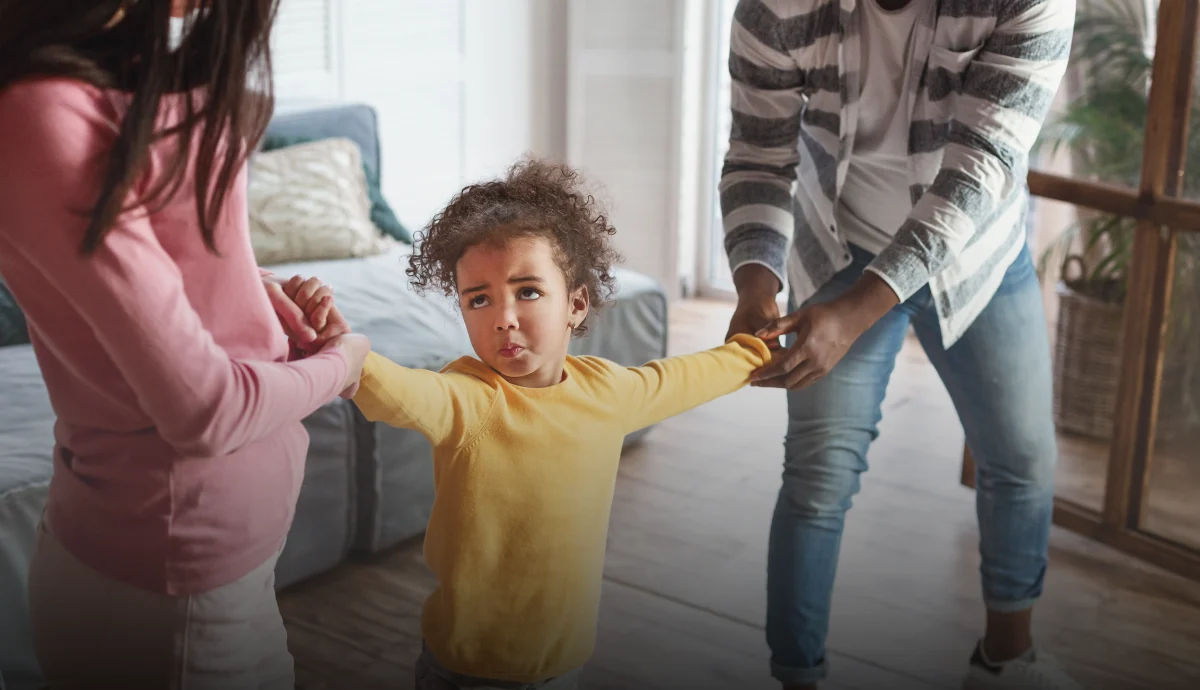 therapy decisions in custody NC