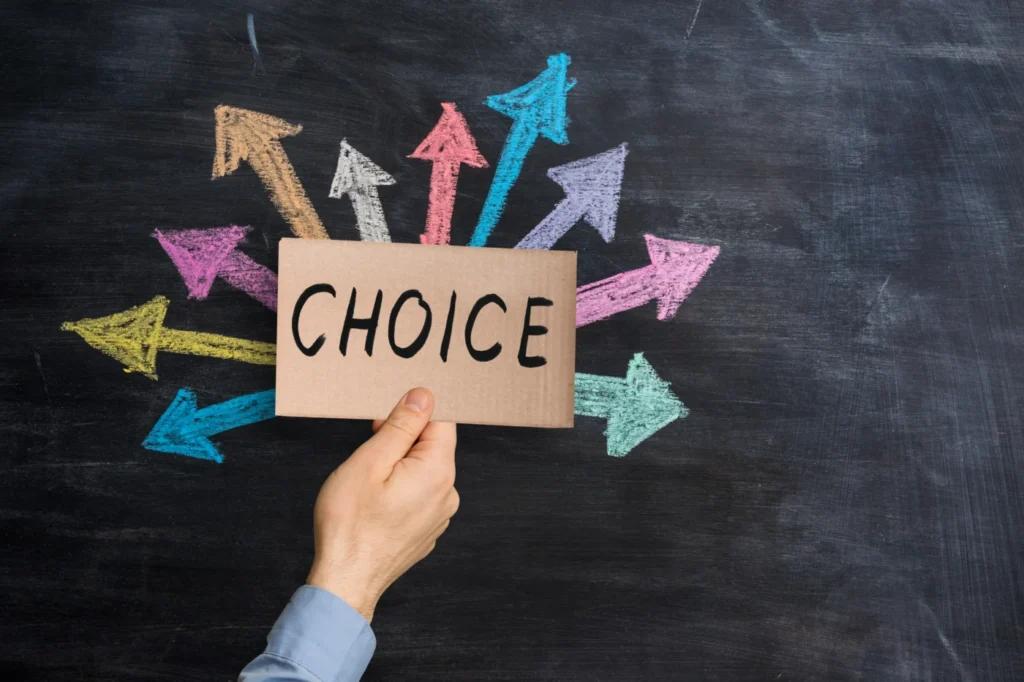 litigation stage decisions custody NC