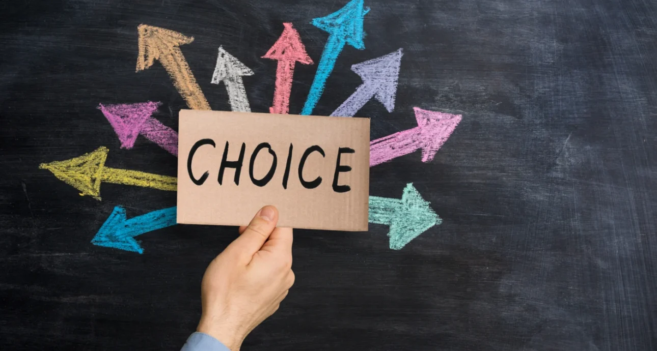 litigation stage decisions custody NC